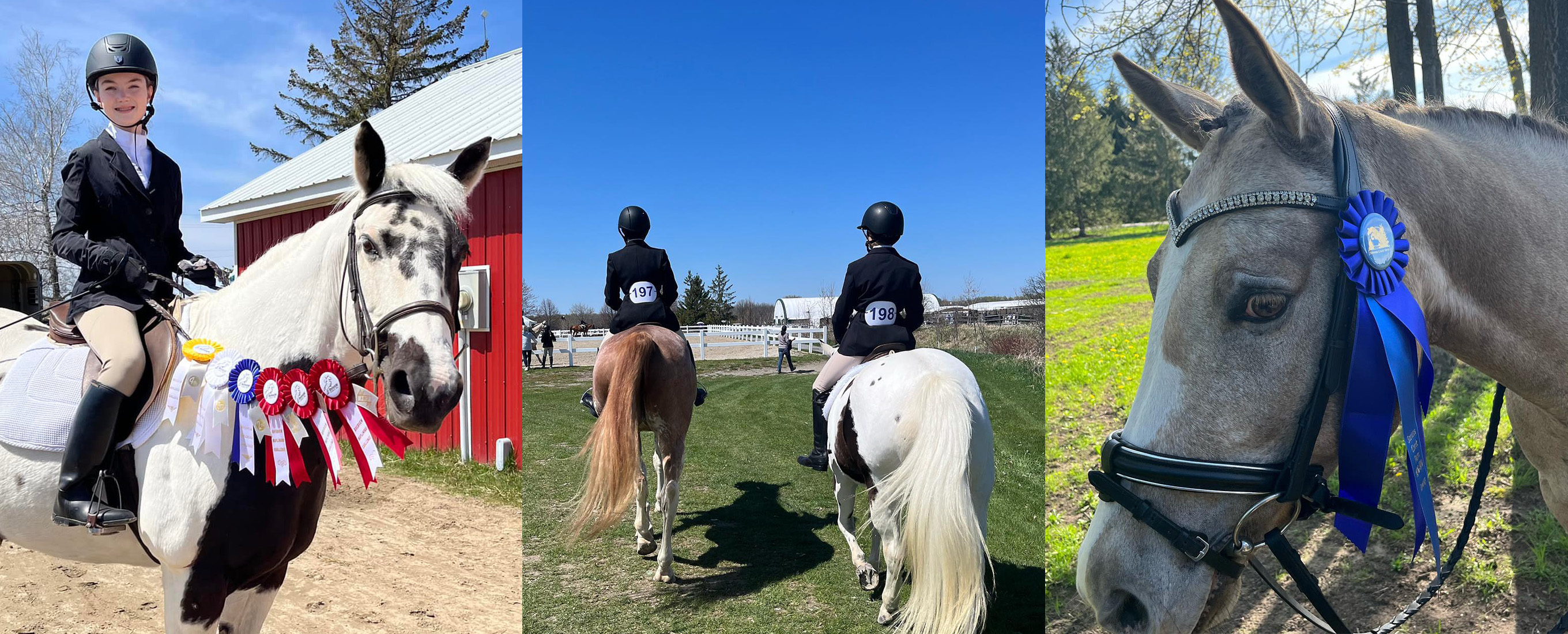 Horse shows at Riverview Stables